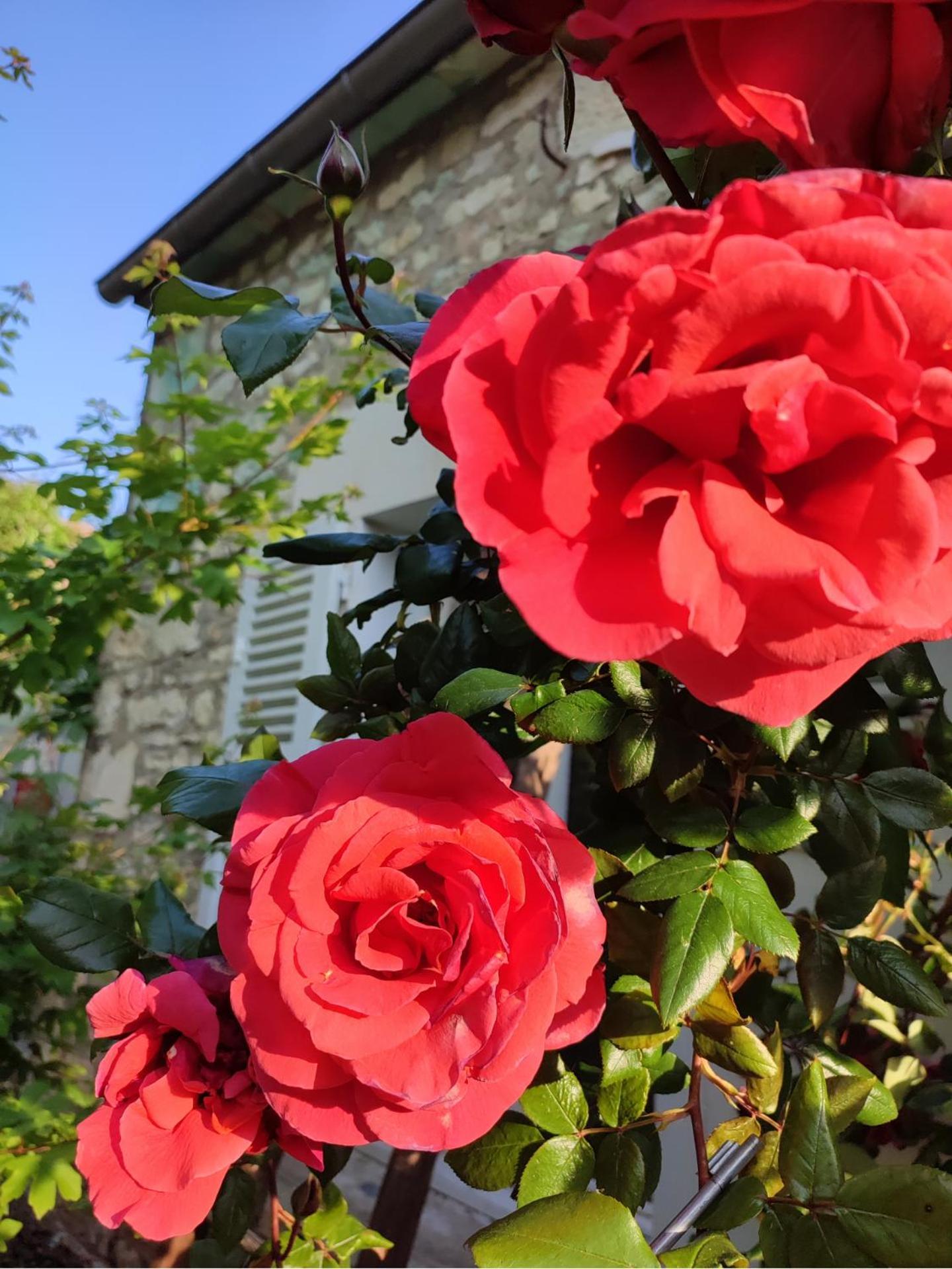 Gite En Plein Coeur Du Vignoble Chablisien Courgis Exterior foto